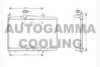 AUTOGAMMA 104571 Radiator, engine cooling
